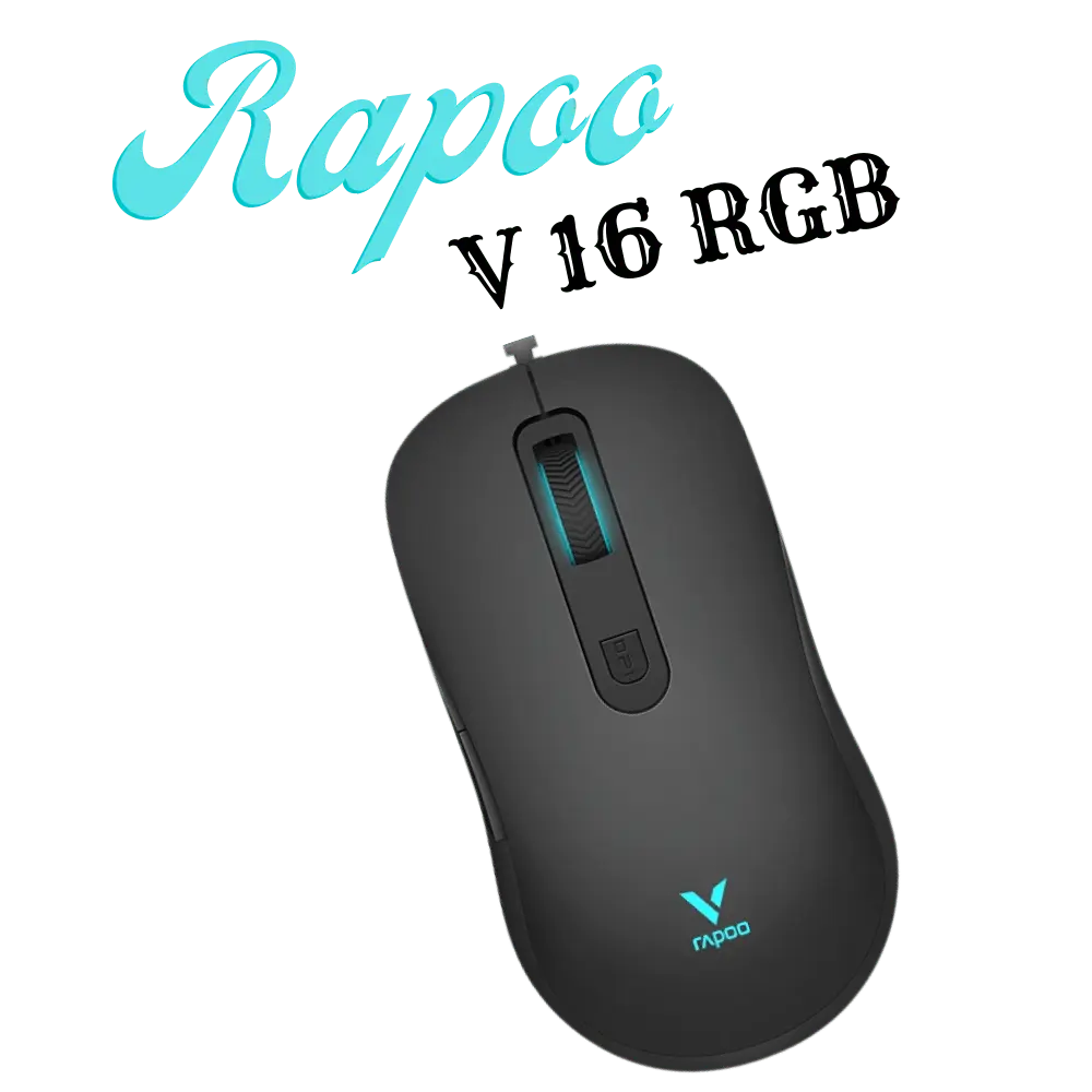 Rapoo